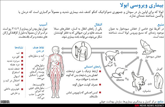 همه‌ چیز درباره خطرناک‌ ترین‌ ویروس‌ جهان