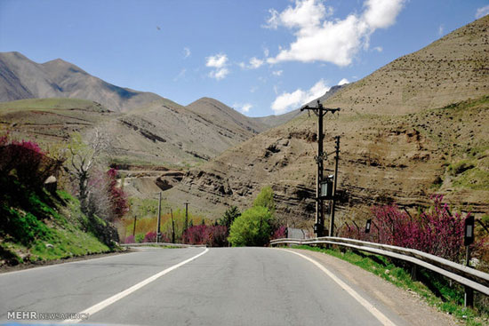عکس: جاده چالوس؛ زیباترین جاده ایران