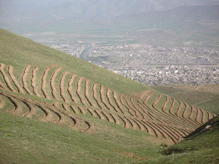 ایران‌گردی، از شیراز و اصفهان تا کردستان