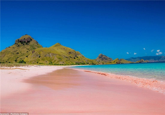 زیباترین ساحل صورتی جهان
