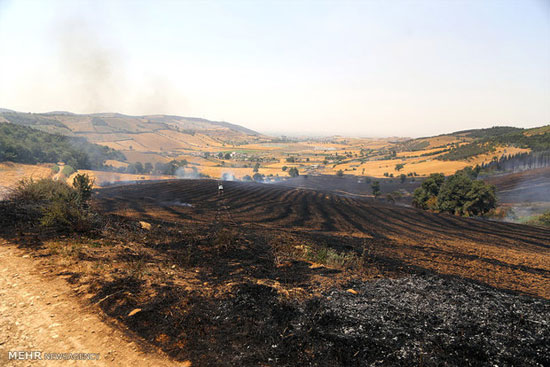 تصاویر آتش سوزی در اراضی جنگلی گرگان