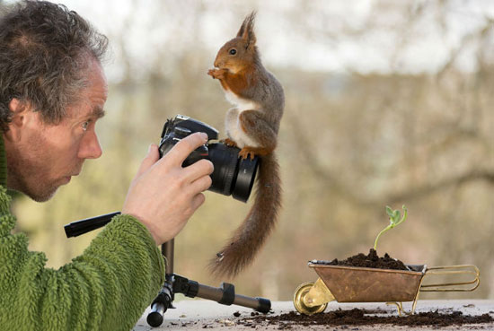 سنجاب هایی که دست به دوربین عکاس خود برده اند