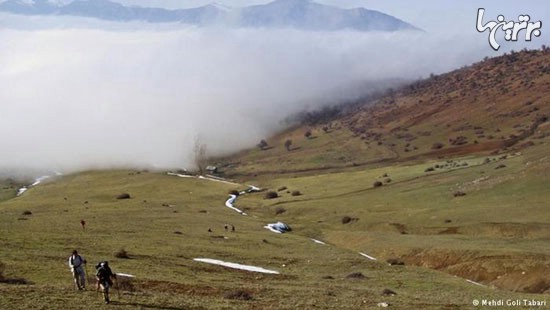 «دریایی از ابر»، چشم‌انداز بالای کوه لاکمر در سوادکوه