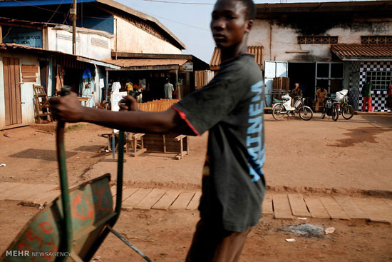 عکس: تجارت کاکائو در ساحل عاج