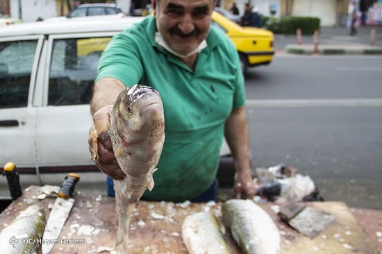 ماهی‌های شب عید در خیابان‌های تهران