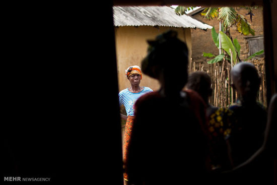 عکس: زادگاه اولیه ویروس ابولا