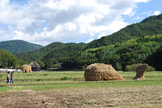 عکس: کشاورز هم کشاورزان ژاپنی