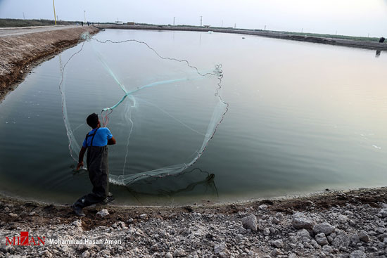 بهره برداری از حوضچه‌های پرورش ماهی