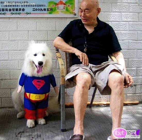 سوپرمن ، از نوع سگی!!! / عکس