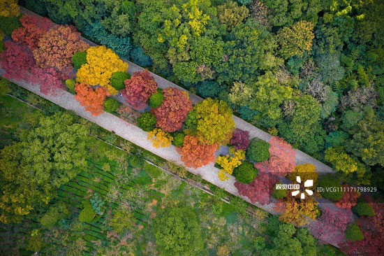 تصاویر هوایی از پاییز هزار رنگ‌ چین
