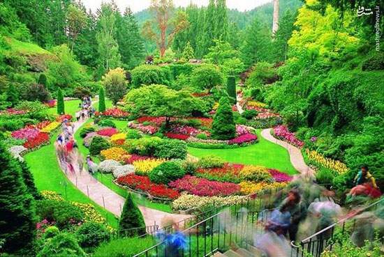 باغ گل شگفت انگیز بوچارت در کانادا
