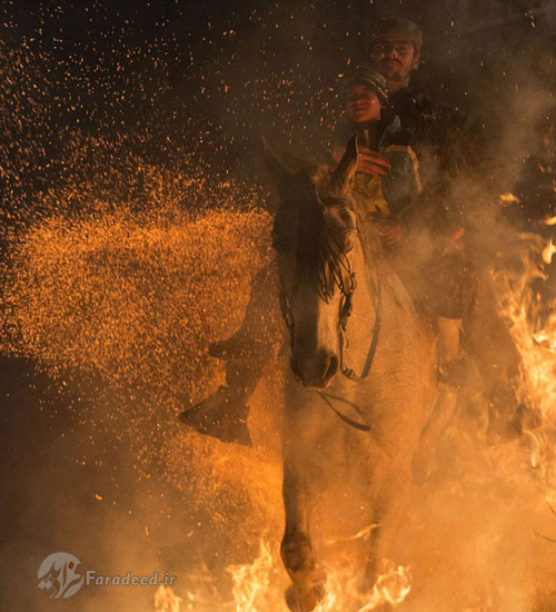 جدال اسب با آتش برای تطهیر