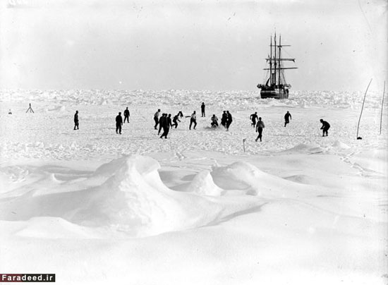 عکس: مرگ و زندگی در سرزمین یخ‌ها