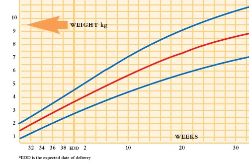 آیا می‌دانید نوزاد شما موقع تولد باید چند کیلو باشد؟