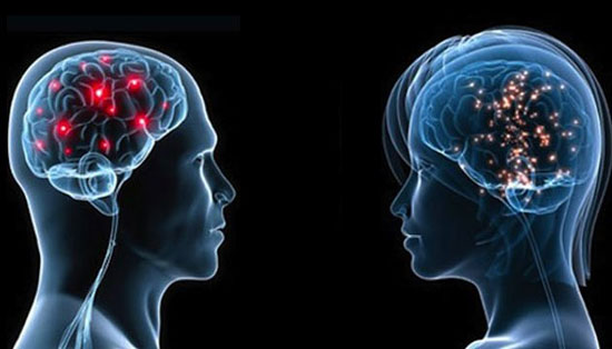 10 واقعیت جذاب در مورد مغز انسان!