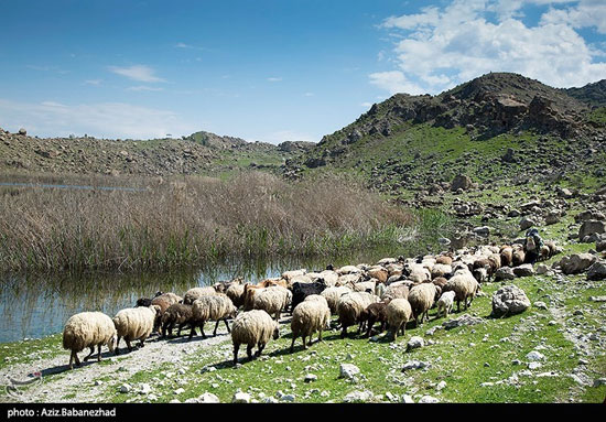 تصاویری بی‌نظیر از شهر تالاب‌های ایران