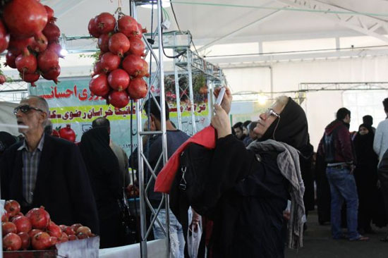 عکس: سومین جشنواره انار در مصلی تهران