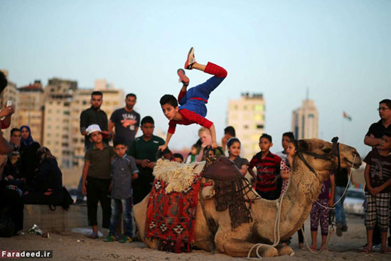 کودک عنکبوتی غزه +عکس