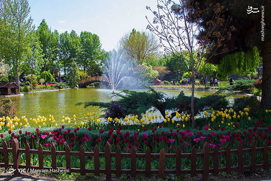 جشنواره گل‌های بهاری در کرج و مشهد
