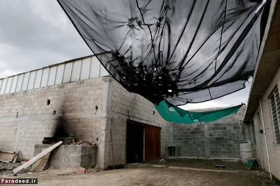 فرار «الچاپو» از زندان فوق‌ امنیتی +عکس