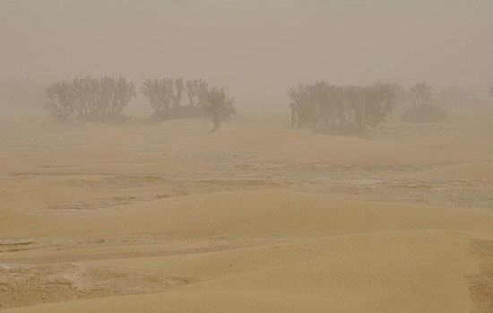 (تصاویر) نفس سیستان و بلوچستان گرفت