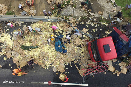 عکس: واژگونی کامیون حمل جوجه‌ یک روزه
