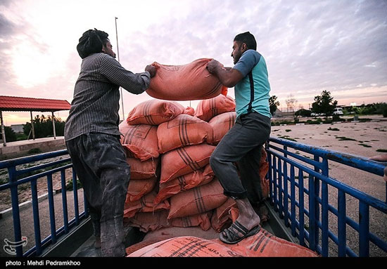 امدادرسانی به دامداران گرفتار شده در سیلاب