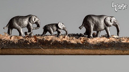 پیاده رَوی فیل ها روی مغز مداد +عکس