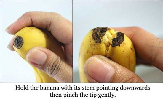کارهای جالبی که با میوه ها می توان انجام داد