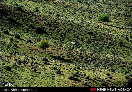 عکس: طبیعت بهاری روستای آب ملخ