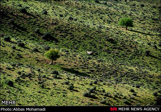 طبیعت بهاری روستای آب ملخ