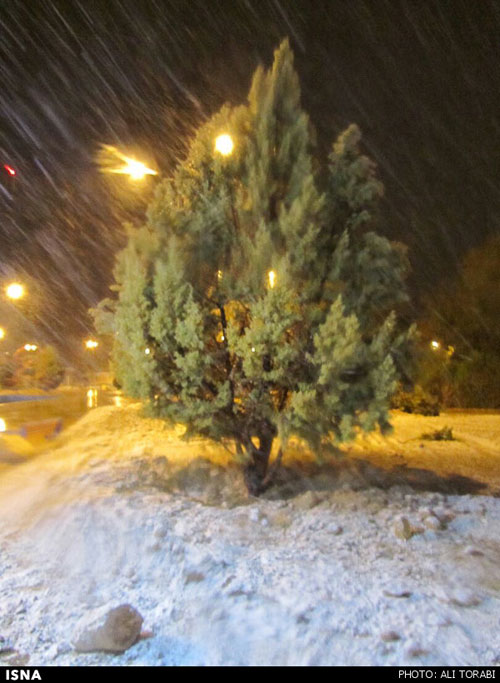 بارش برف در جهرم پس از 18 سال +عکس