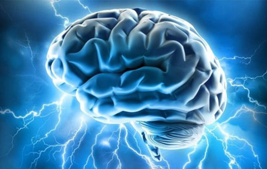 محاسبه ظرفیت حافظه‌ مغز انسان