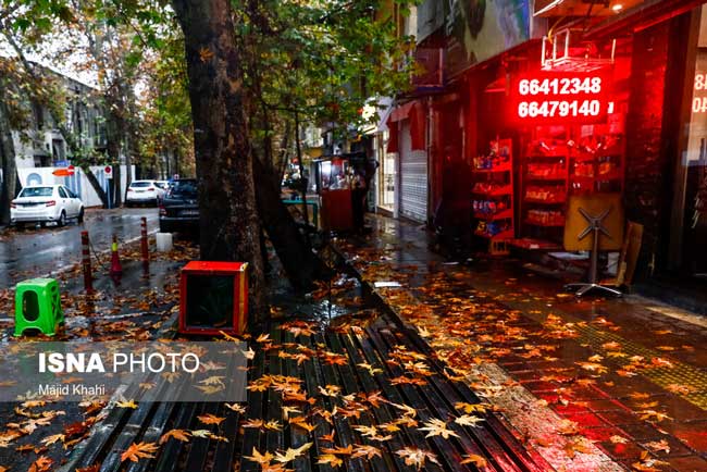 تصویری متفاوت از آخرین روز‌های پاییز در تهران