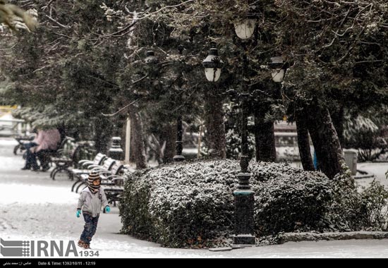 عکس: بارش نخستین برف زمستانی در تهران