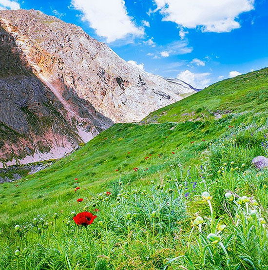 ایرانِ زیبای ما (46)