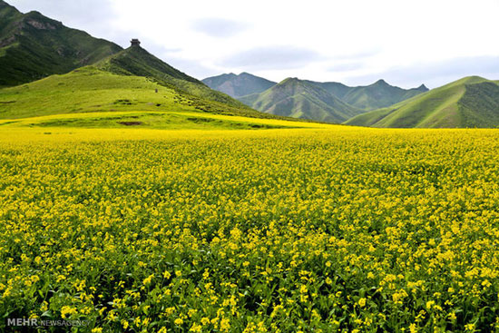 «گانسو»؛ مظهر زیبایی زمین در چین +عکس