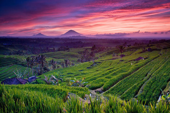 به بهشت افسانه‌ای «بالی» سفر کنید!