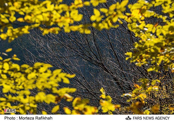 تصاویر: طبیعت پاییزی گیلان