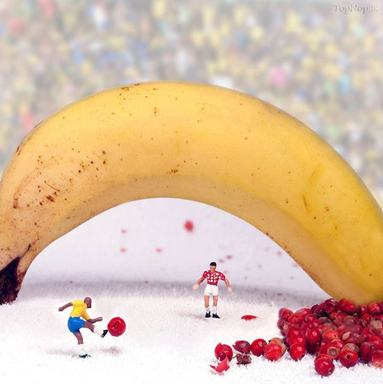 دنیای مینیاتوری بر روی میوه‌ها +عکس