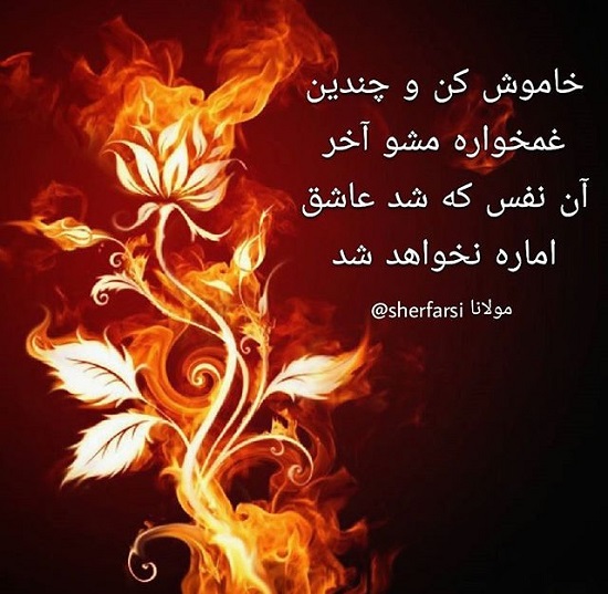 مینی شعر (222)