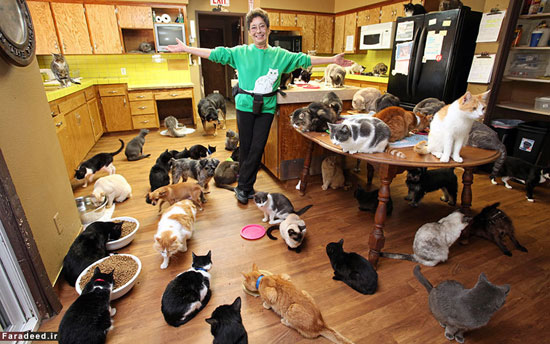 عکس: زن 67 ساله همخانه 1100 گربه