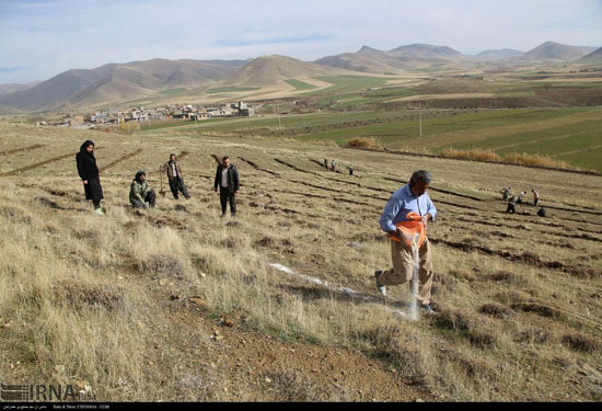 اجرای پروژه‌های بیولوژیک مرتع استان کردستان