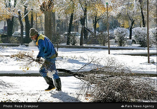 بارش برف و شکسته شدن درختان در شهرکرد