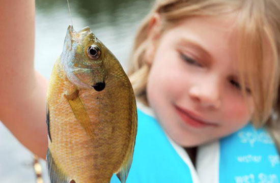 8 فایده شگفت انگیز ماهی برای کودک