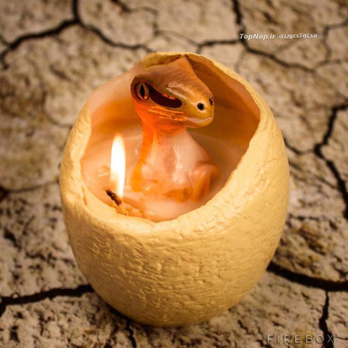 راز شمع تخم مرغی +عکس