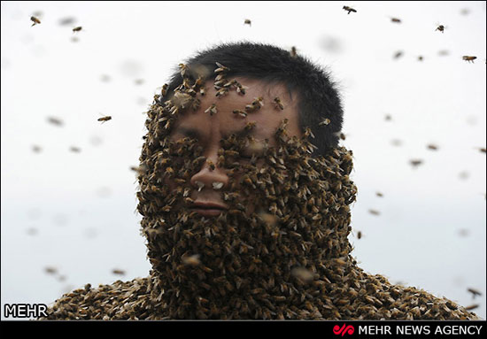460 هزار زنبور روی بدن این مرد! +عکس