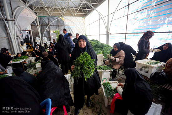 عکس: پخت آش 80 هزار کیلویی در شیراز
