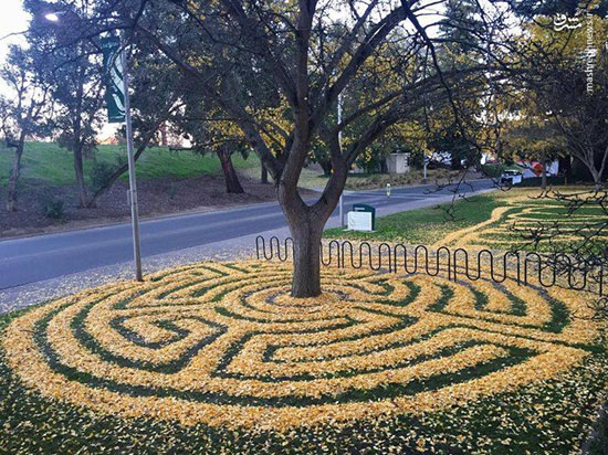 هنرنمایی با برگ‌های پاییزی