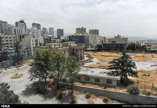 مهمان ناخوانده در بزرگترین خانه تهران +عکس